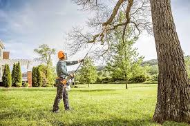 How Our Tree Care Process Works  in  Ste Genevieve, MO